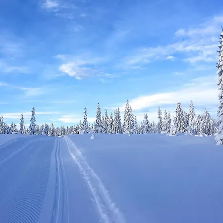 Lejlighed Amazing In With Kitchen Sjusjoen
