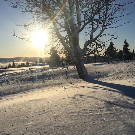 2 Bedroom In شقة Sjusjoen